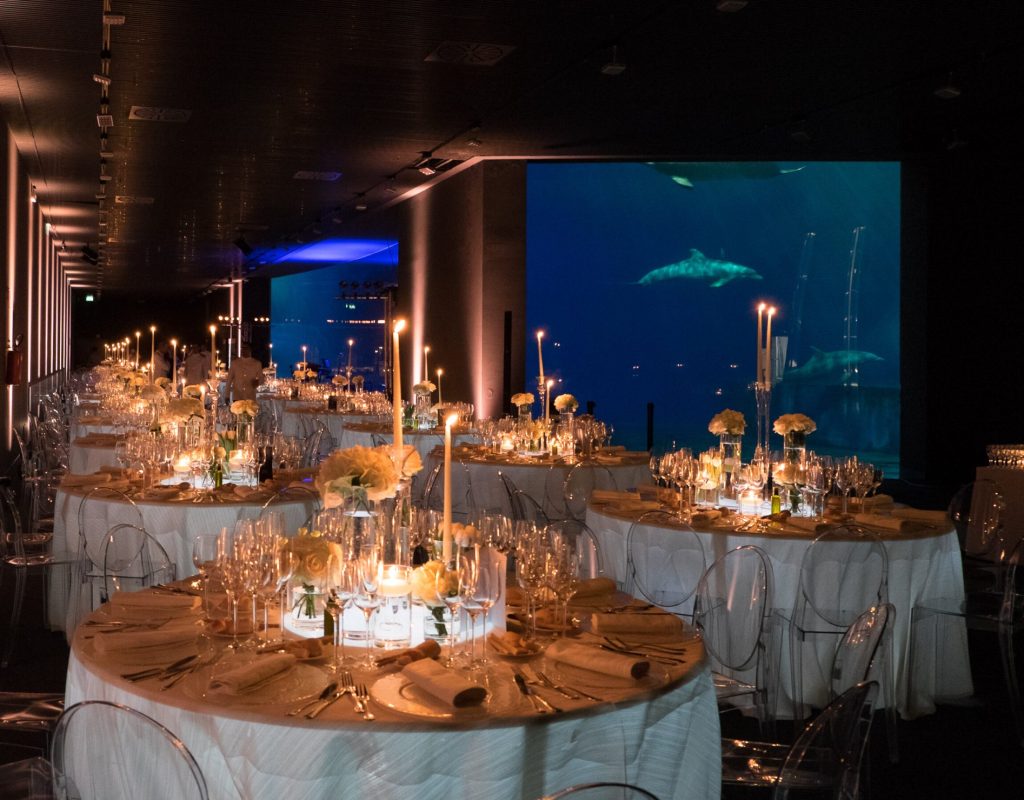 Acquario -7596