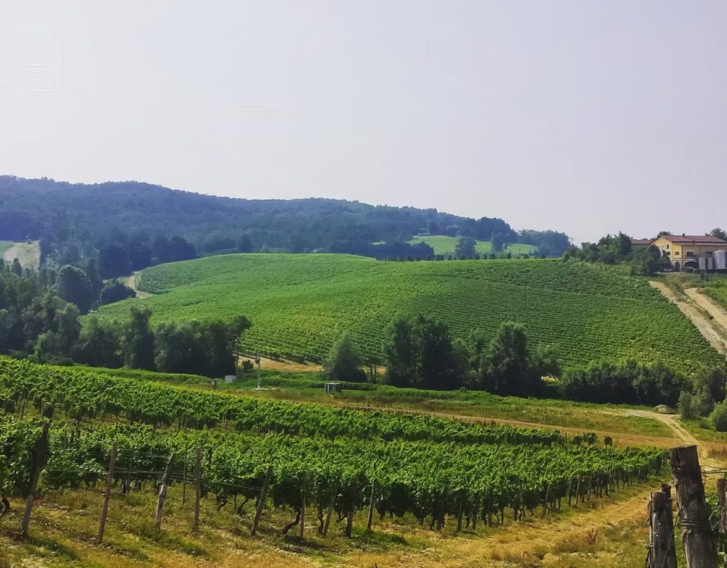 Tenuta la Meirana eventi nel gavi, matrimoni nel Gavi008
