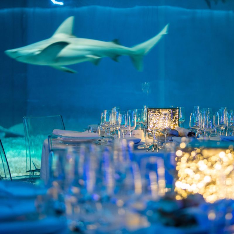 copertina acquario di genova